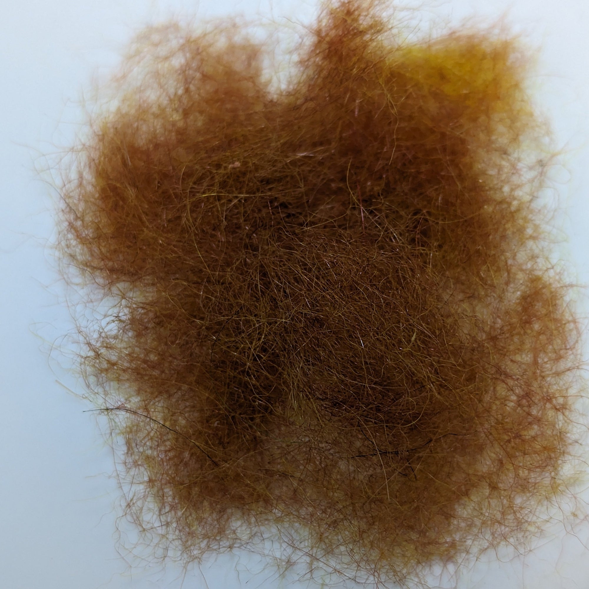 Seals Fur Ginger Australia NZ 