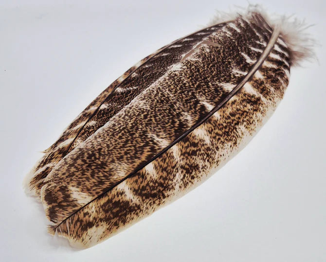 Oak Mottled Turkey Wing Quills  - Veniard 1st Quality, 2nd Quality. Australia NZ