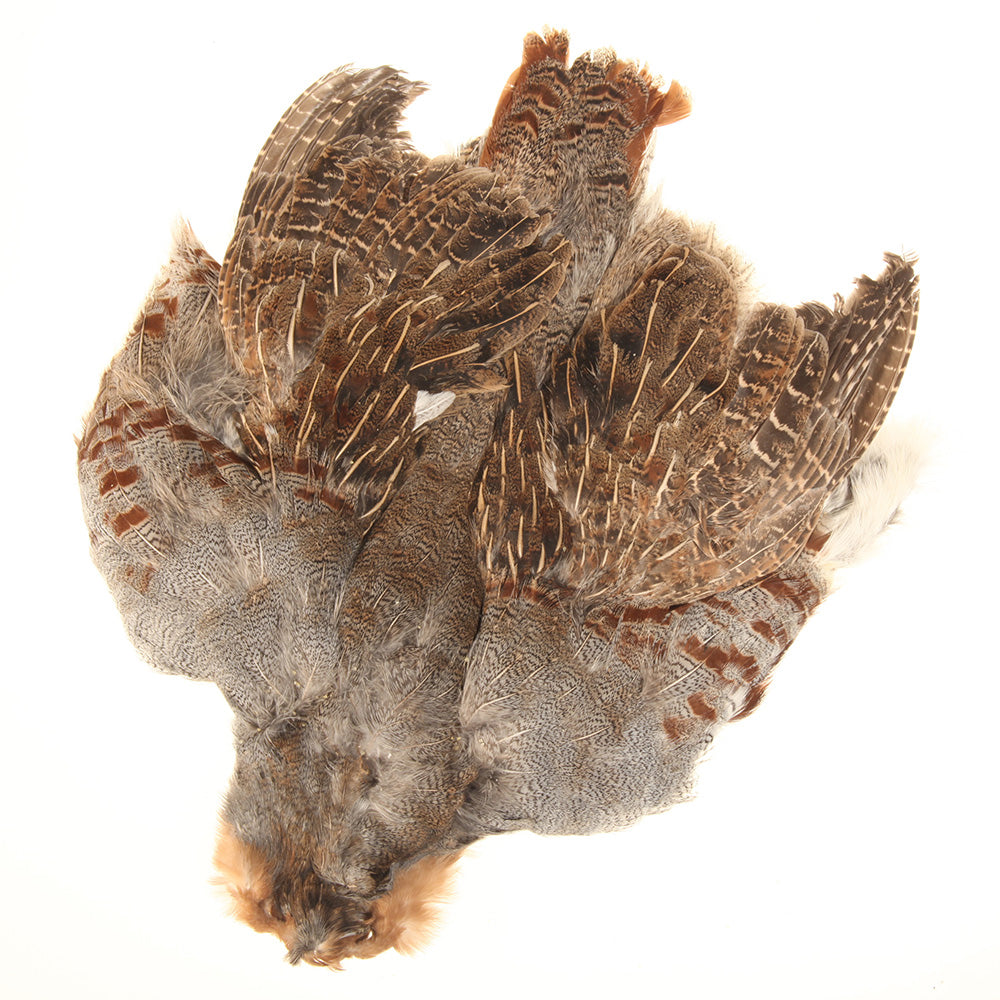 Hungarian Partridge Skin Australia