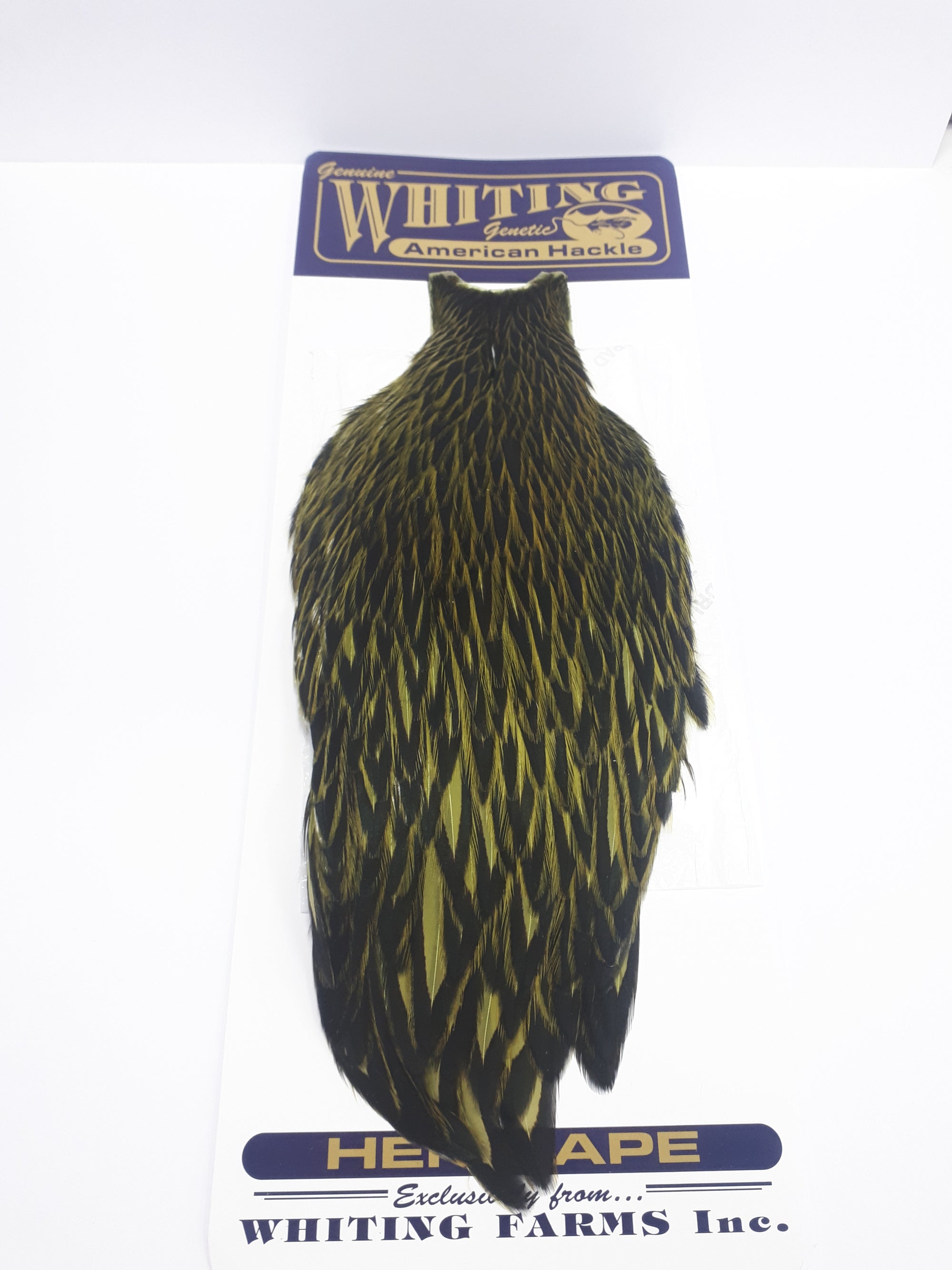 Whiting American Hen Cape