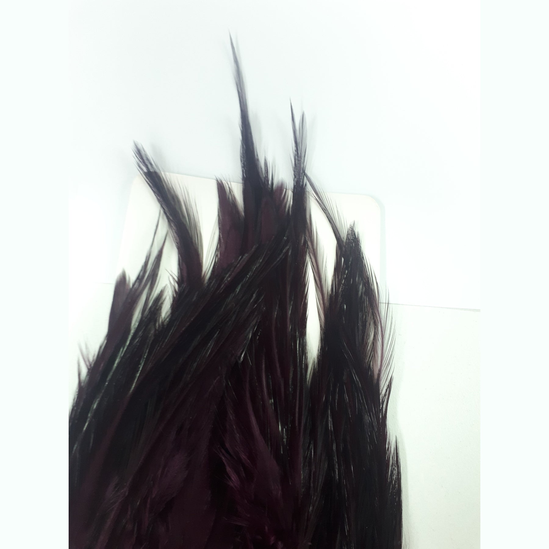 CDL whiting tailing pack Dark Claret, Tasmania, Australia, NZ