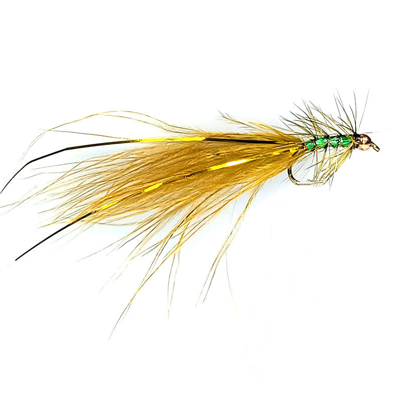 Custom Shrek Fly, Australia, NZ