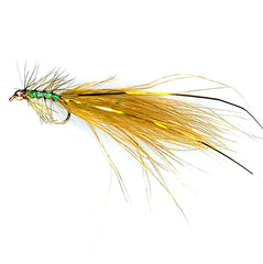 Custom Shrek Fly, Australia, NZ