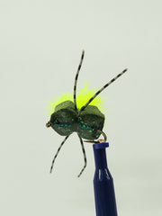 Custom Foam Beatle with rubber legs, Australia, NZ