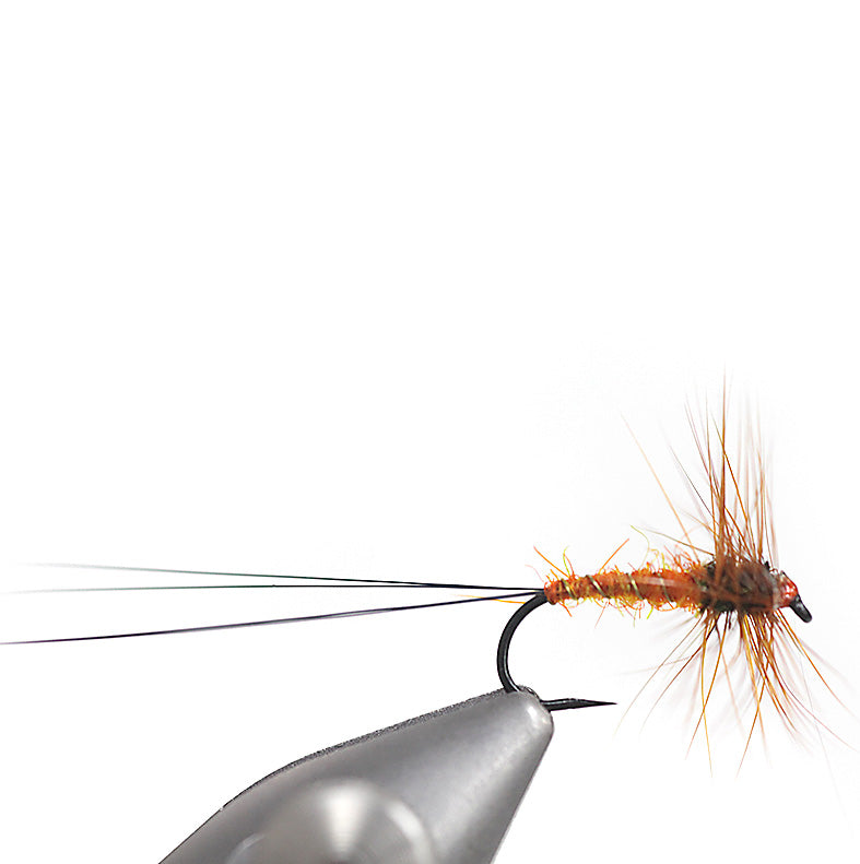 Orange Spinner Bassano Australia Tasmania