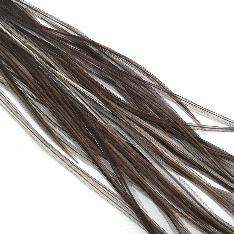 Saddle Brown Dun Australia