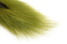 Bucktail olive Australia