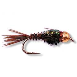 Copper B/H Flashback Pheasant tail X 6 Australia