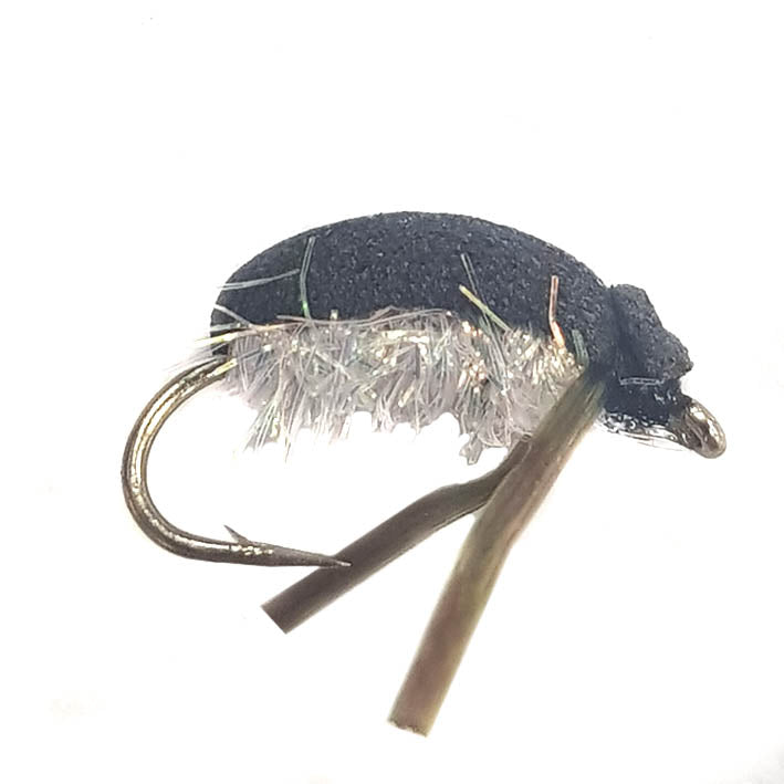 Corixa water boatman Tasmania fly