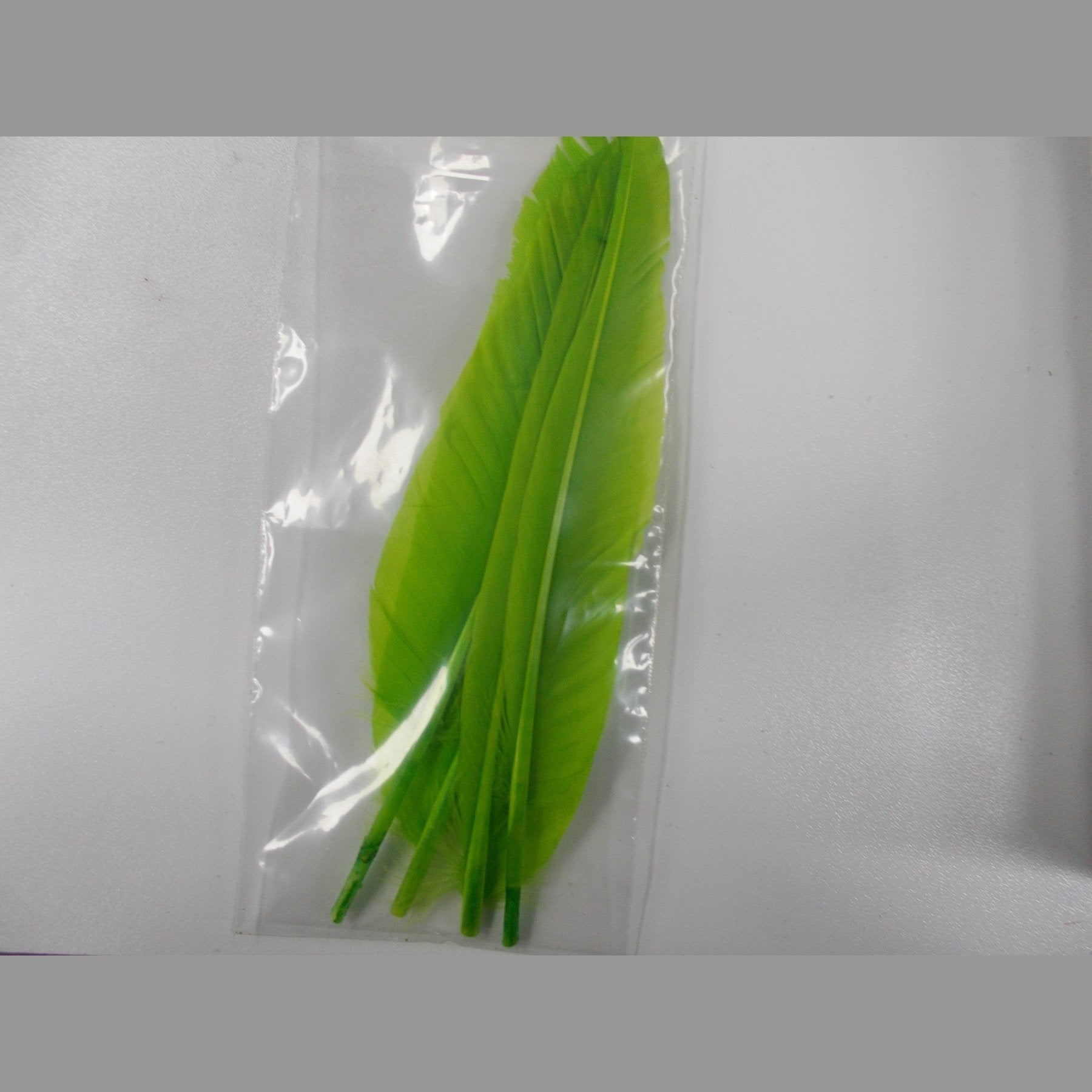 Duck Quill 2 Pair - Wapsi Australia 