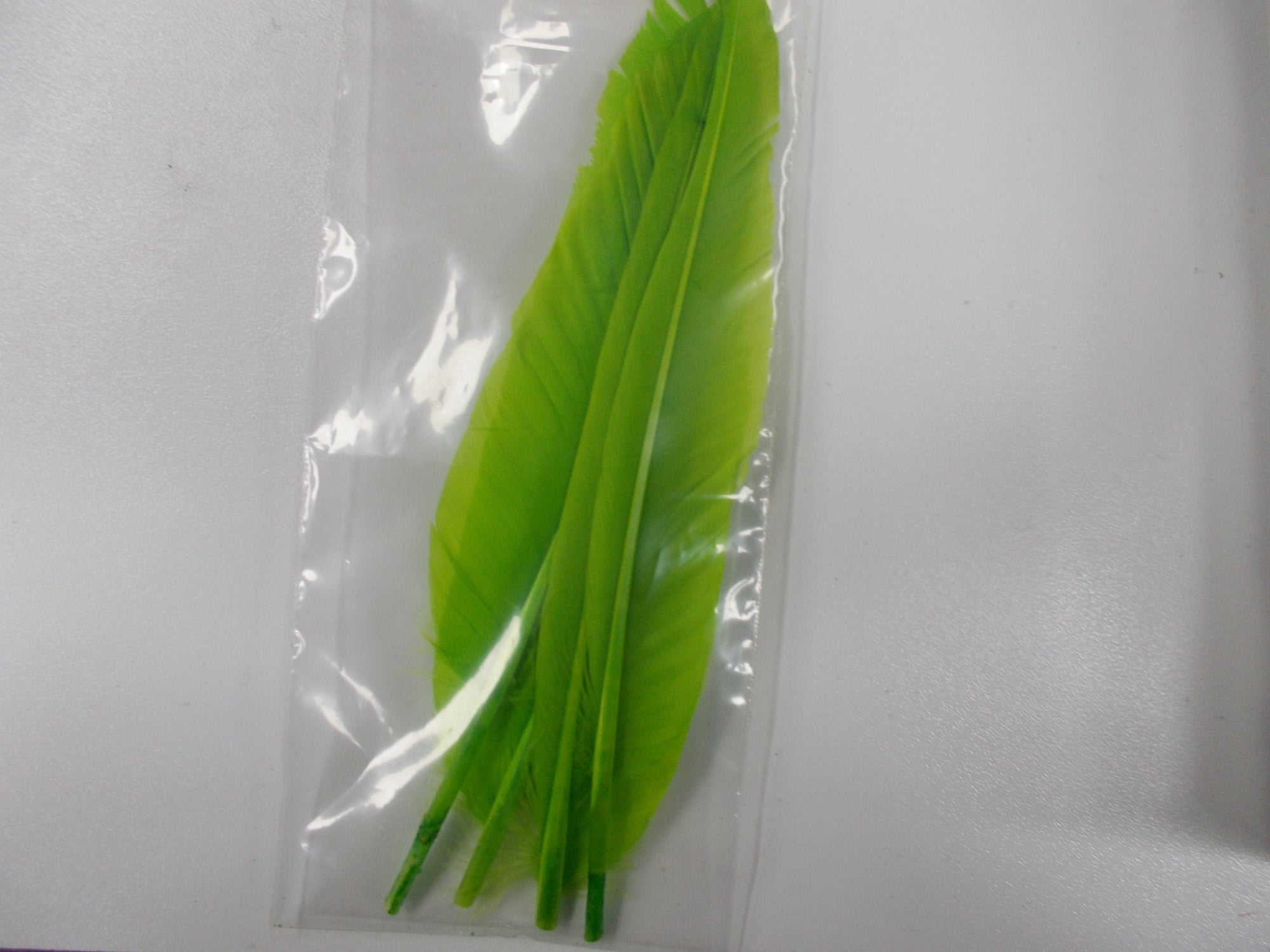 Duck Quill 2 Pair - Wapsi Australia 