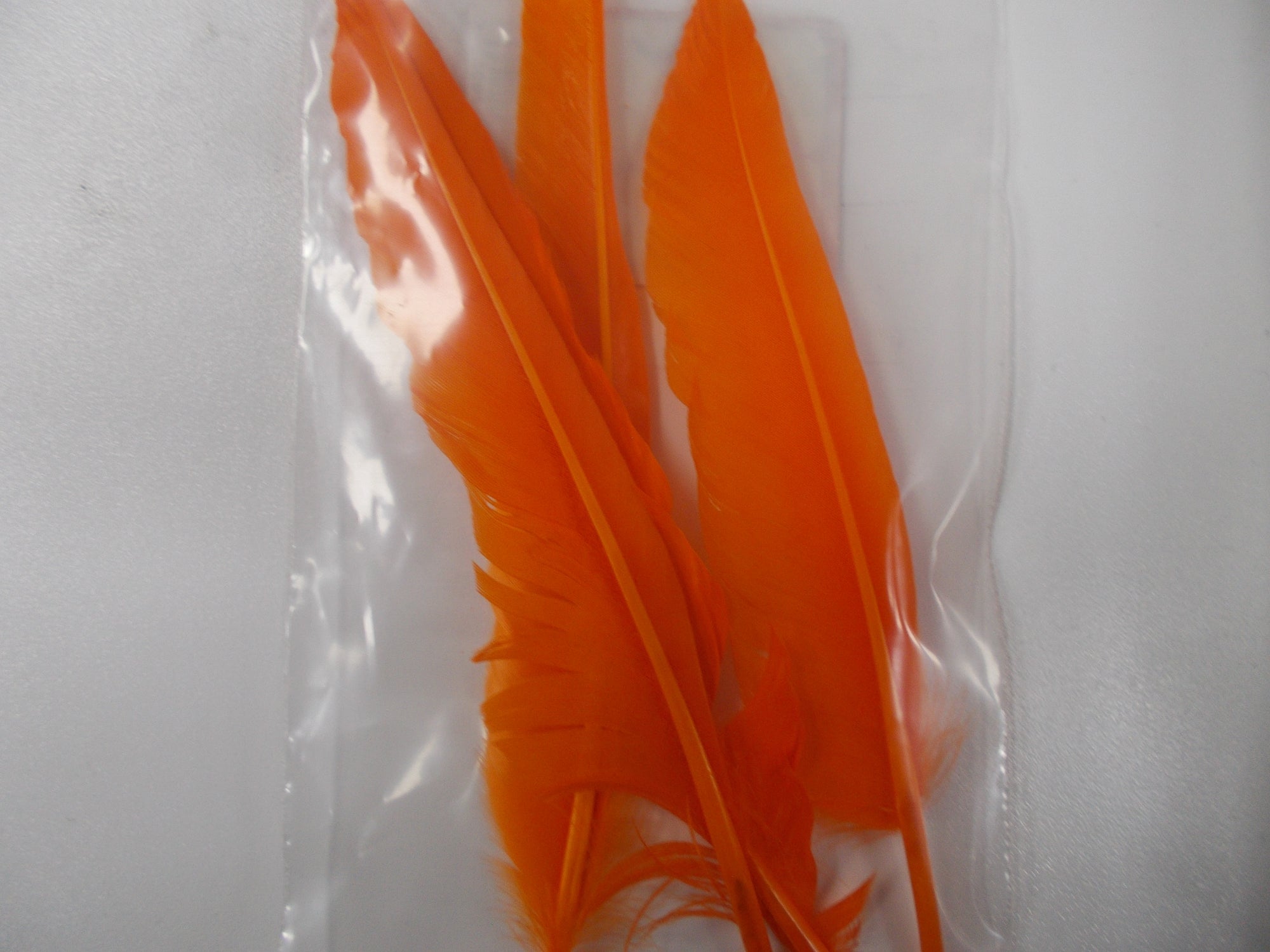 Duck Quill 2 Pair - Wapsi Australia 