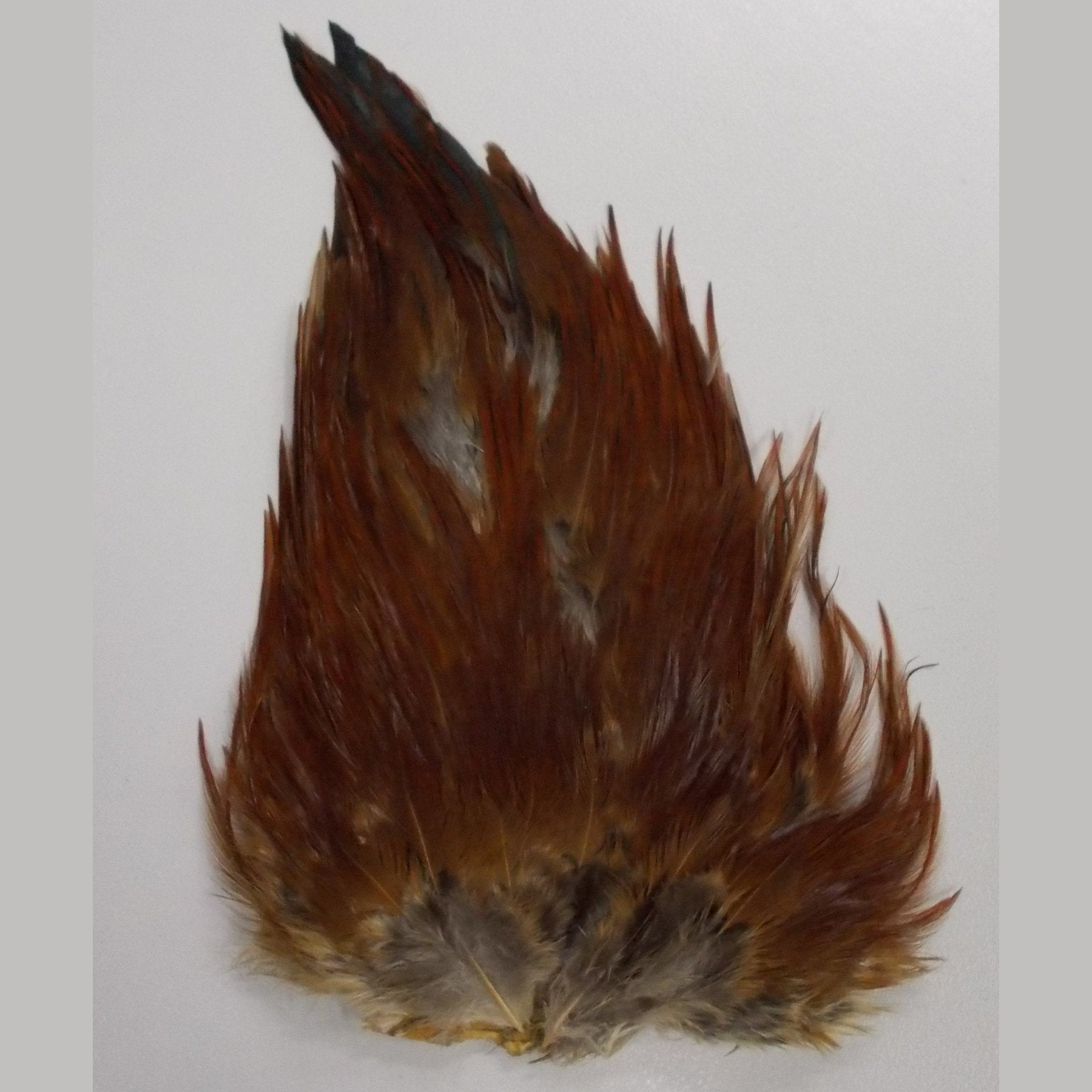 Indian Saddle Patch- Wapsi Australia 