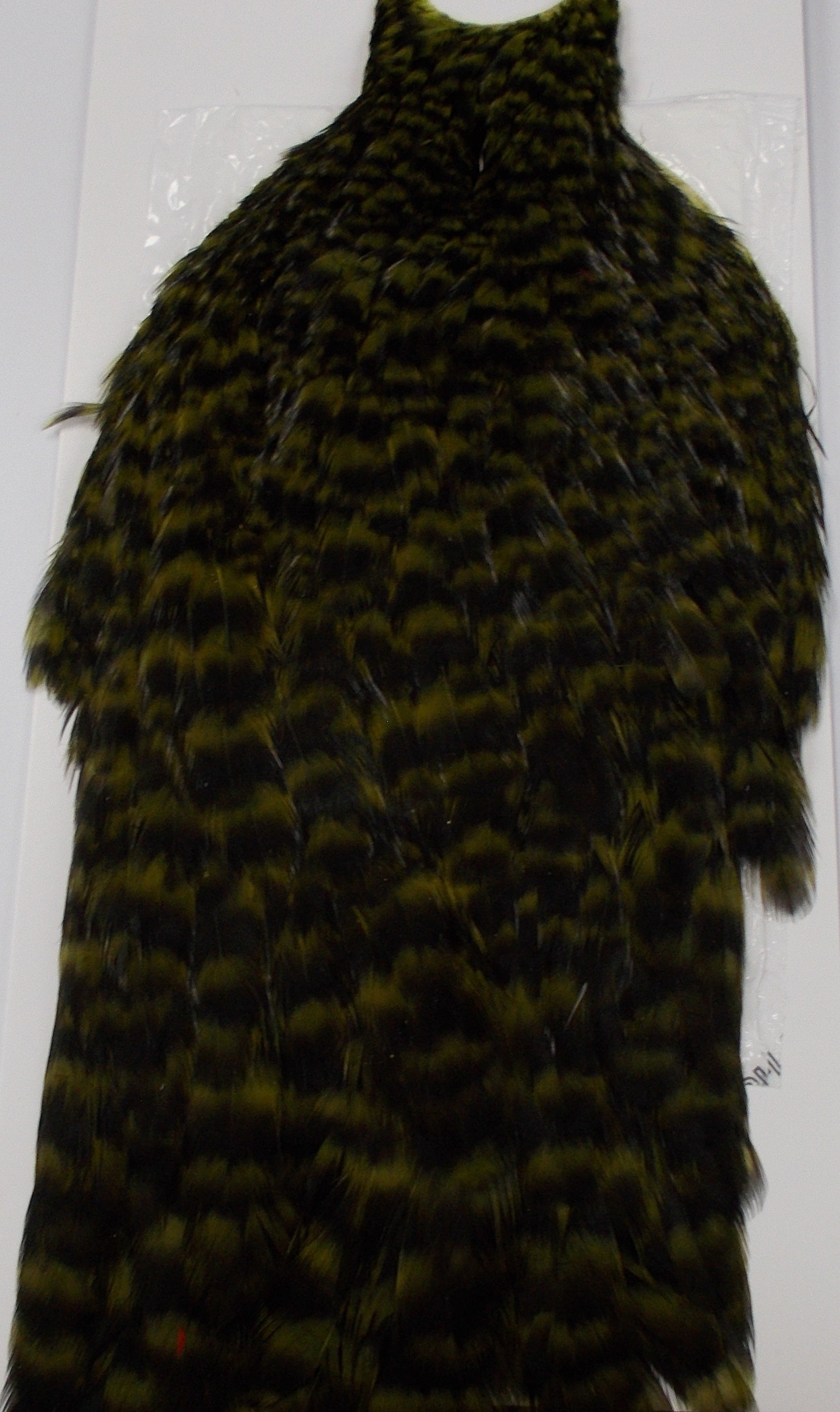 Whiting American Hen Hackle Cape Grizzly Dark Olive Australia 