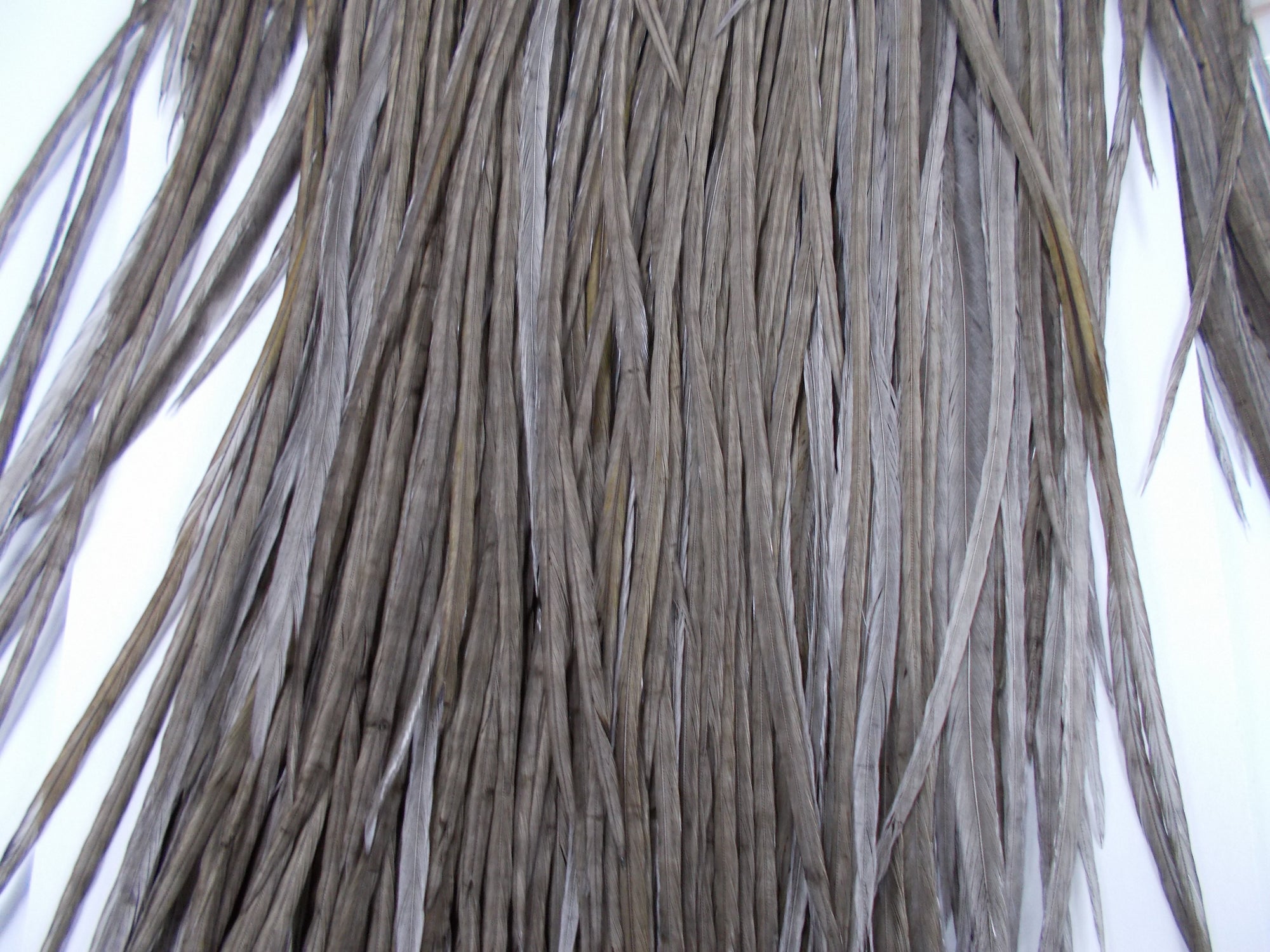 Whiting Pro Grade Dry Fly Saddle Dark Dun Australia