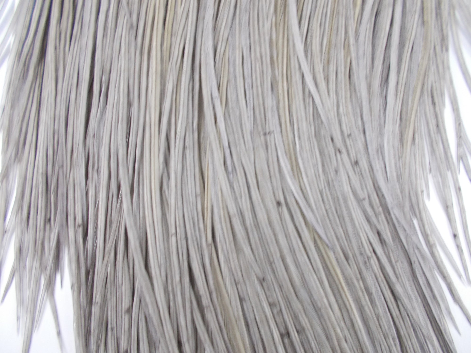 Whiting Pro Grade Dry Fly Saddle Medium Dun Australia 