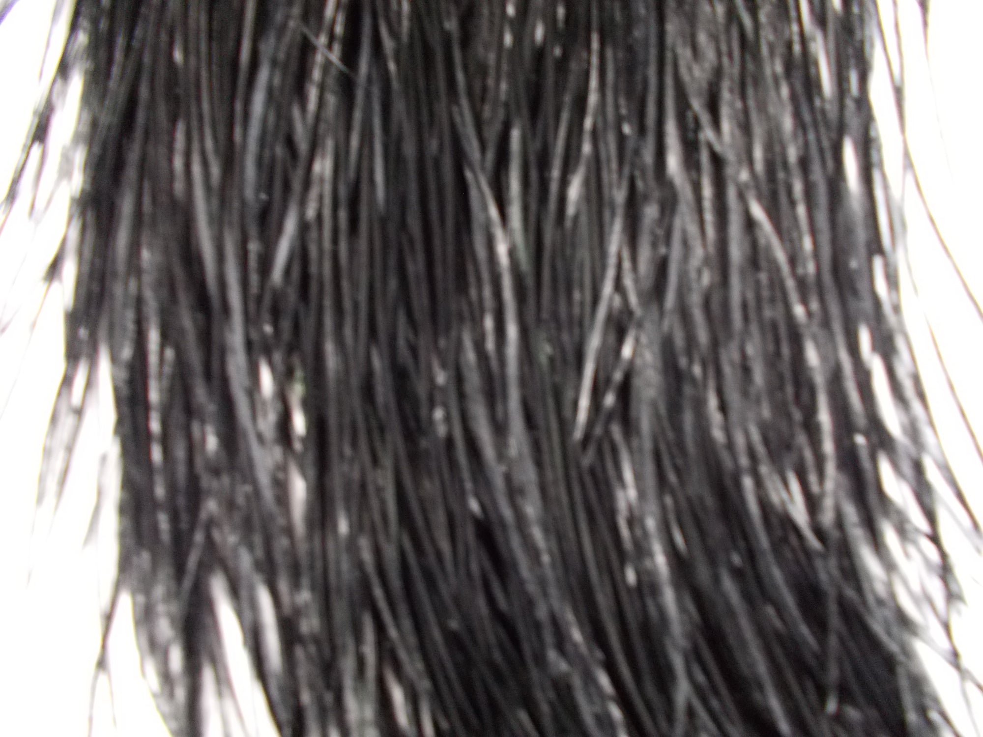 Whiting Pro Grade Dry Fly Saddle Black Australia 