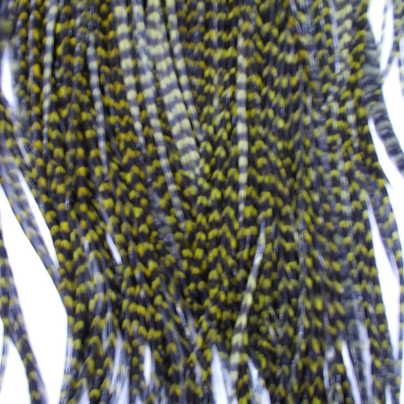 Whiting Pro Grade Dry Fly Saddle Grizzly Dark Olive Australia 