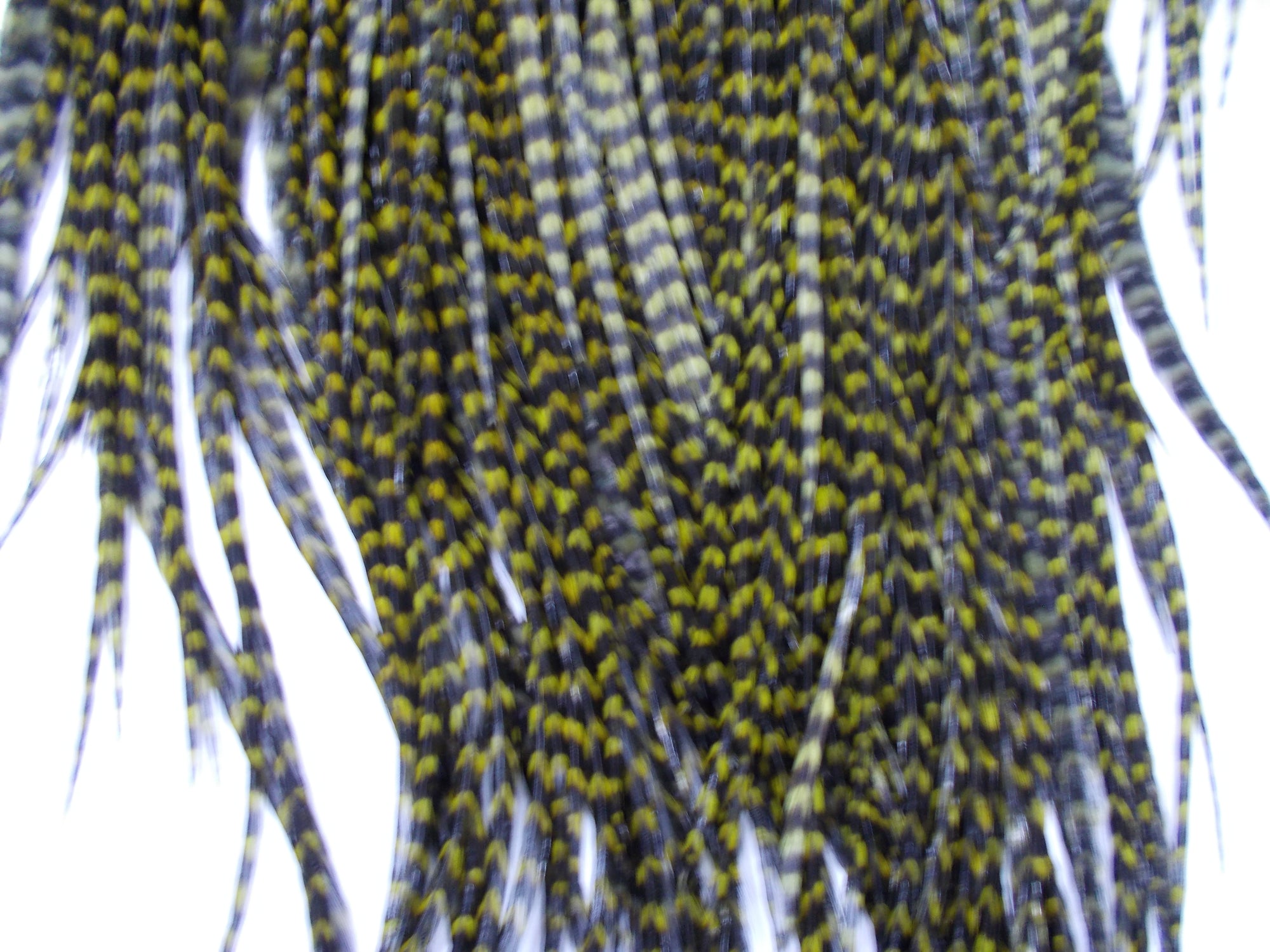 Whiting Pro Grade Dry Fly Saddle Grizzly Dark Olive Australia 