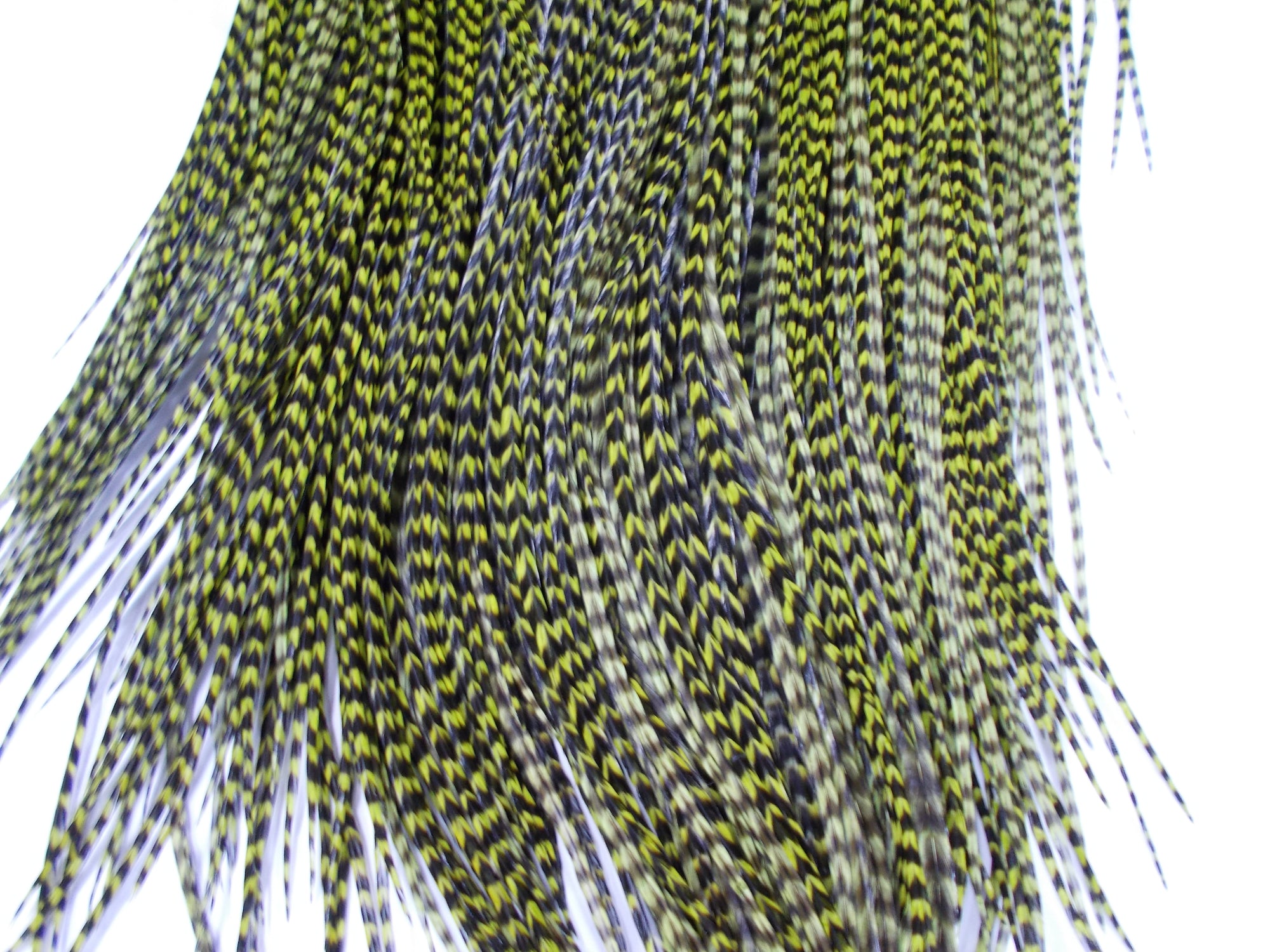 Whiting Pro Grade Dry Fly Saddle Grizzly Light Olive Australia 