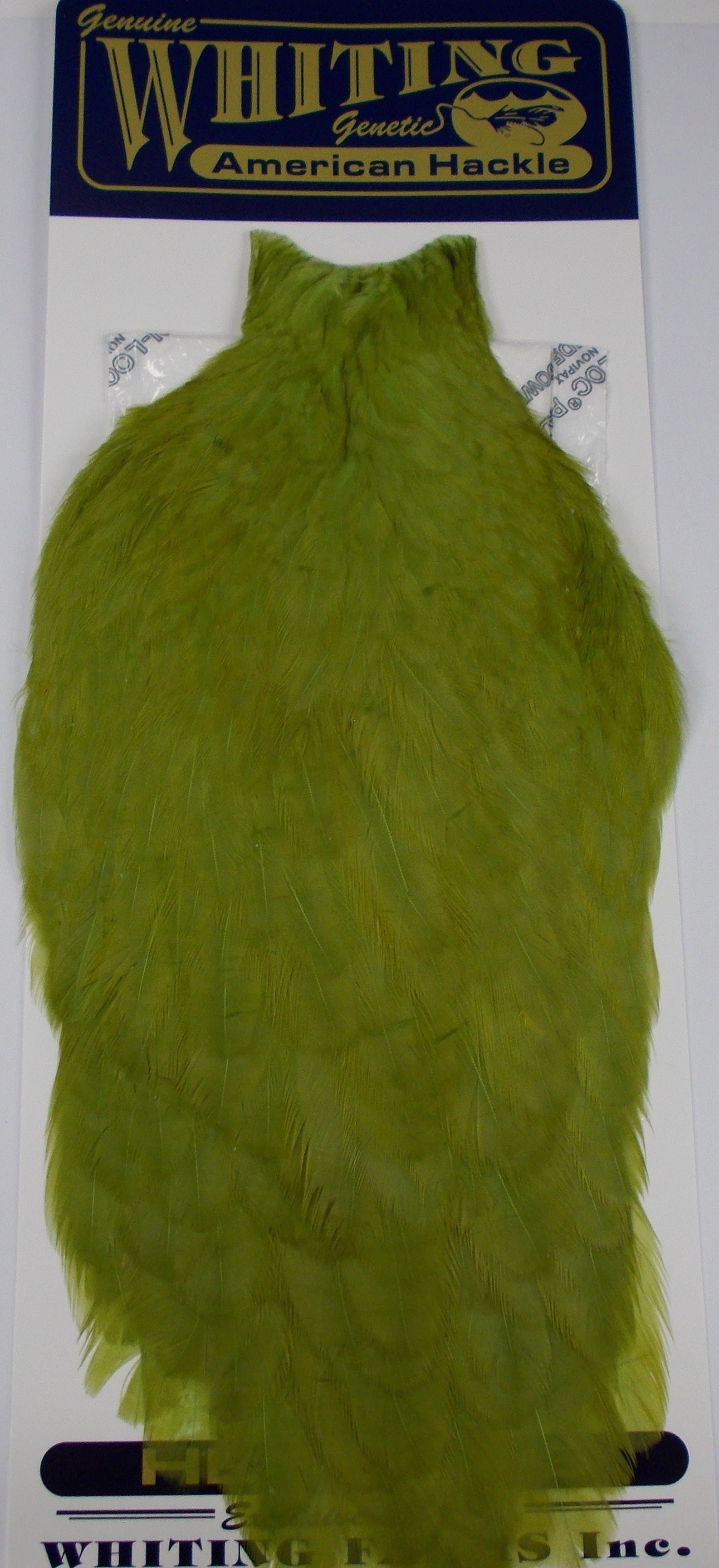 Whiting American Hen Cape Olive Tasmania Australia