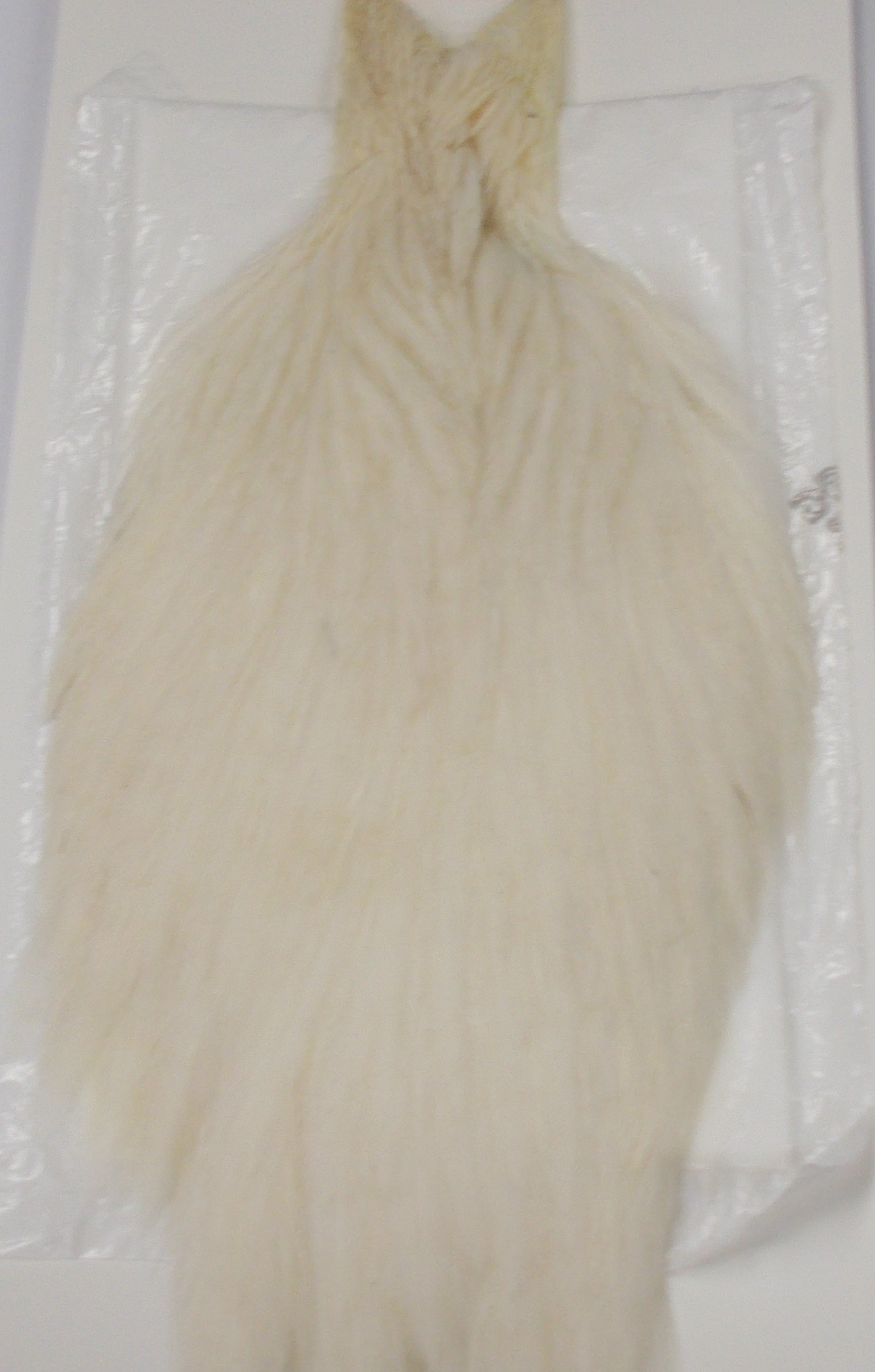 Whiting Hen Hackle Cape White Australia 