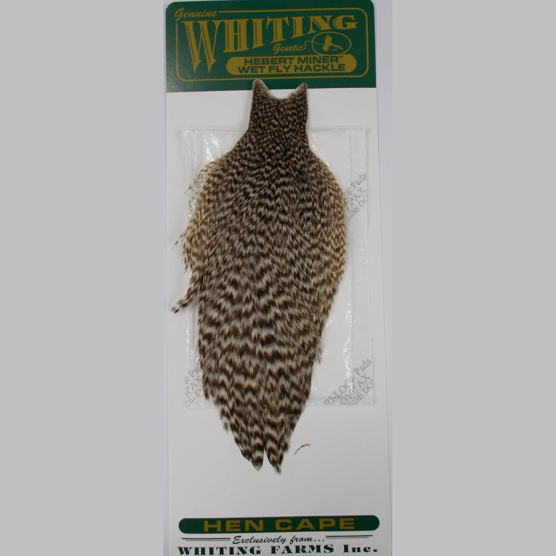 Whiting Hebert Miner Wet Fly Hen Cape Tasmania Australia