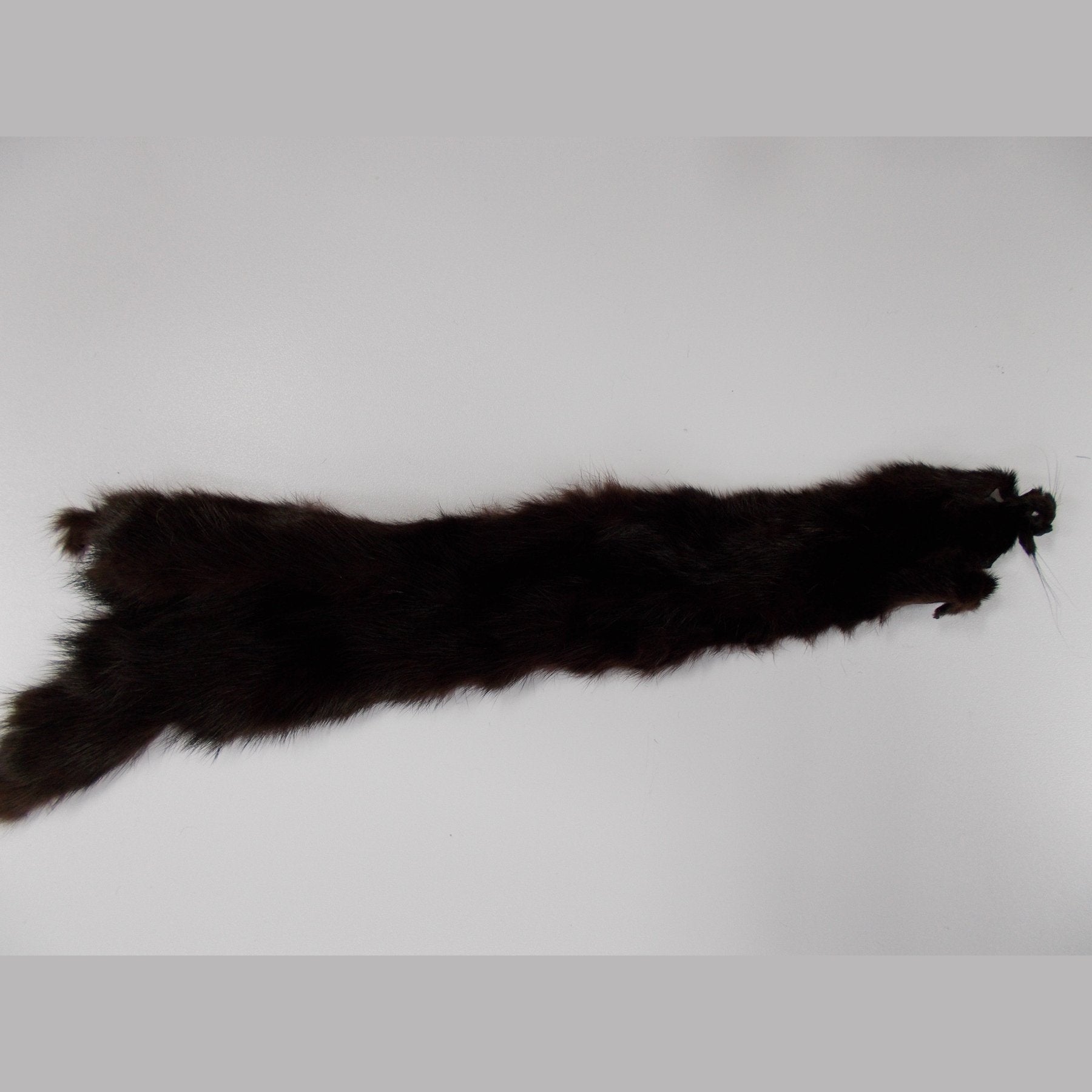 Mink Skin - Halford Tasmania Australia