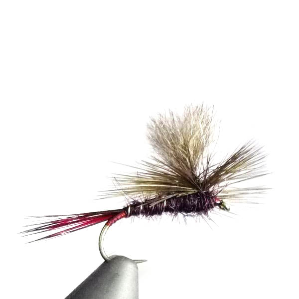 Parachute Claret Possum Emerger Australia