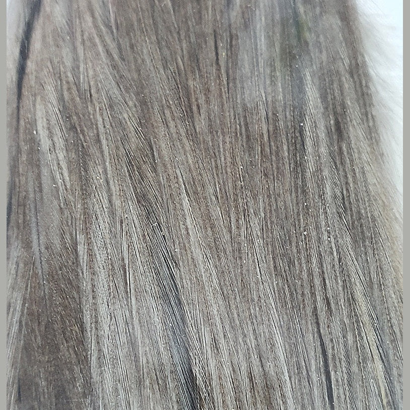 Whiting Half Rooster Cape Dark Champagne Australia