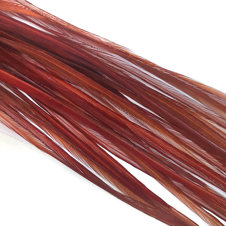 Saddle Dyed Brown Australia