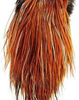 Whiting Euro Saddle Hackle Australia