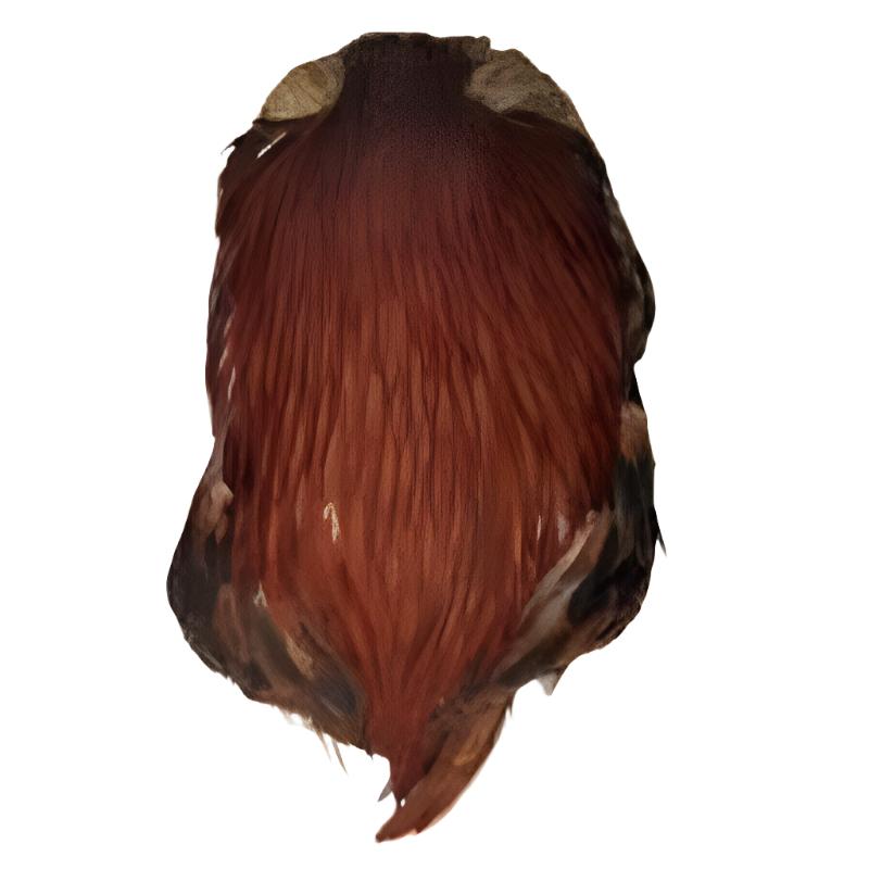 Indian Cock Cape - Veniard Australia nz