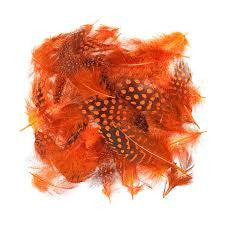 Guinea Body Feathers - Wapsi Australia