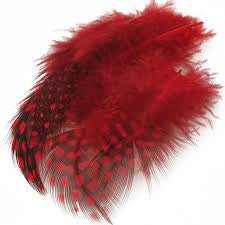 Guinea Body Feathers - Wapsi Australia
