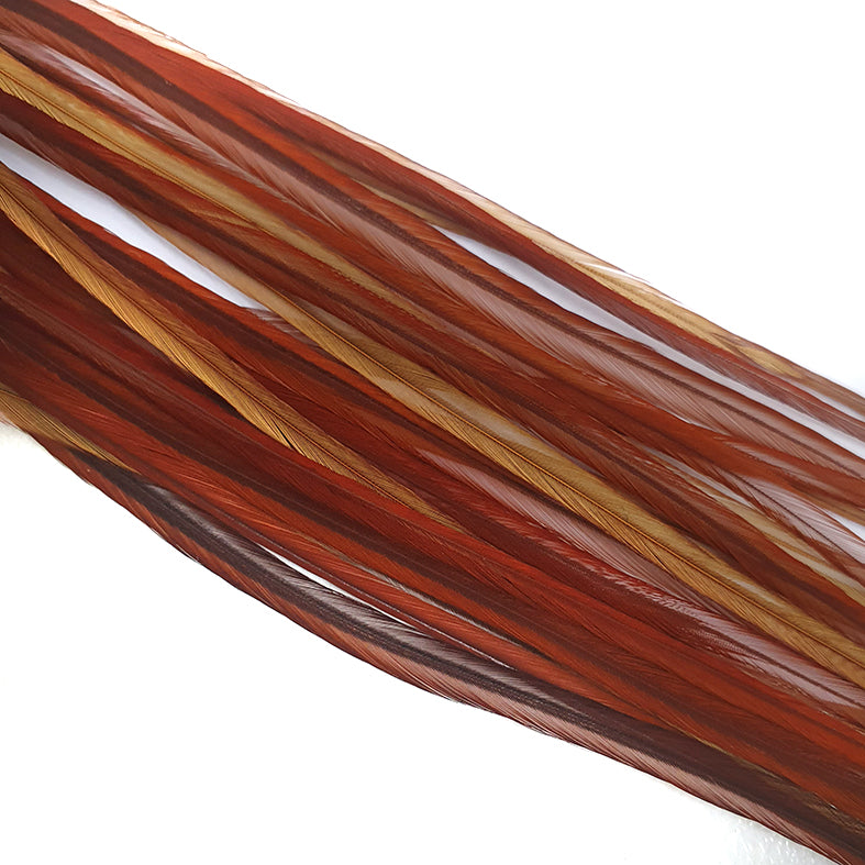 Saddle Ginger Brown Australia