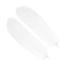 Goose Shoulder Feathers - Wapsi Australia 