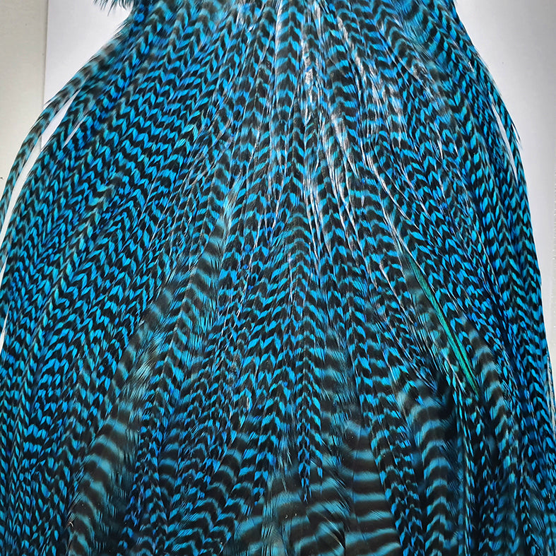 Whiting Half Rooster Saddle Grizzly Blue - Australia