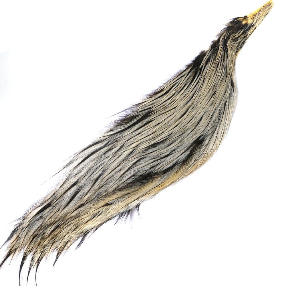 Grizzly variant Australia