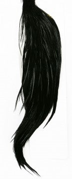 Whiting Half Rooster Cape Australia