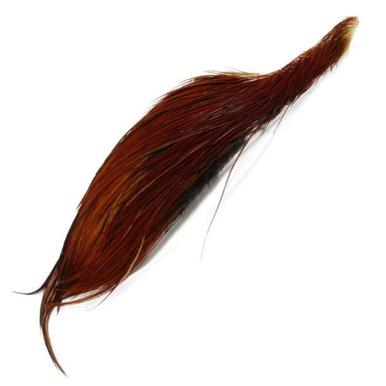 Whiting Half Rooster Cape Australia