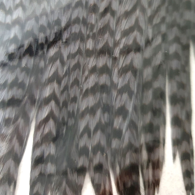 Keough hackles - capes and saddles