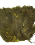 Marabou skin with soft hackle Olive Australia