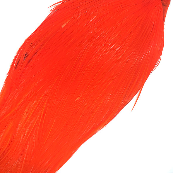 Hot Orange Rooster neck cape Australia