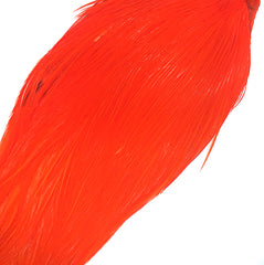 Hot Orange Rooster neck cape Australia