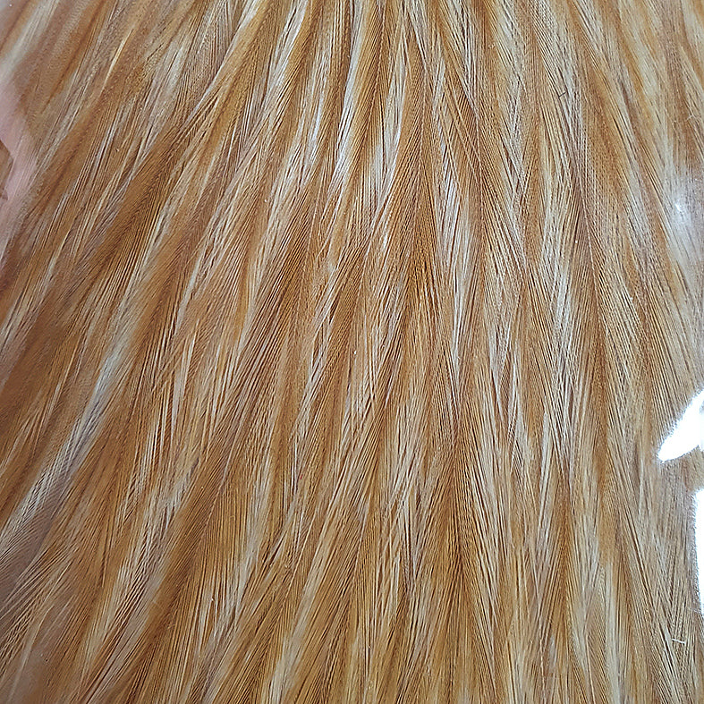 Whiting Half Rooster Cape Medium Ginger Australia