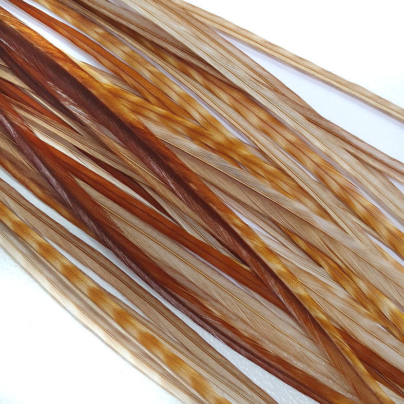 Saddle Medium Barred Ginger Australia