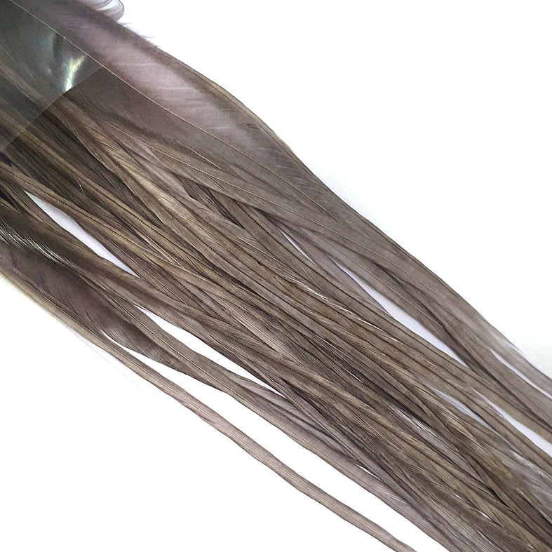 Saddle Medium Dun Australia