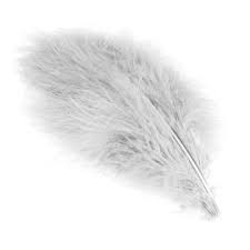 Marabou Select Plumes - Wapsi