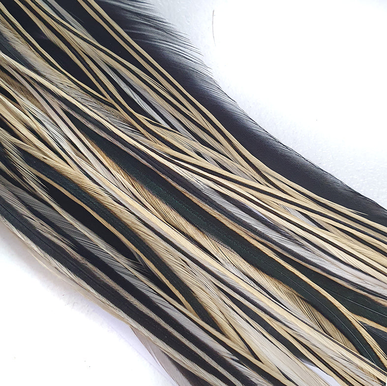 Saddle Silver Badger Australia